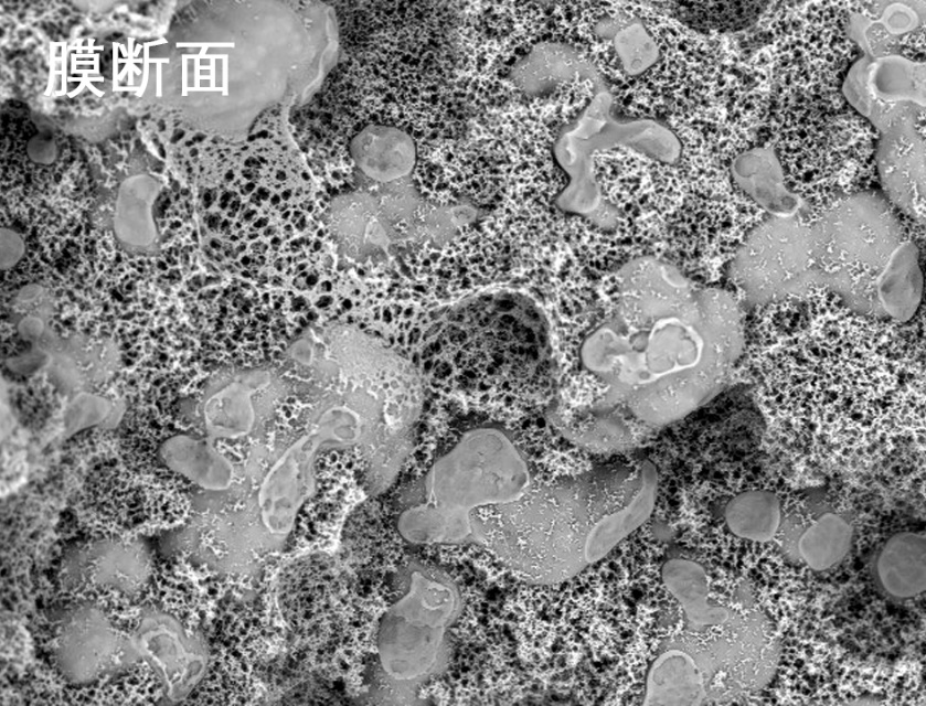 抖圈人生就是搏燒結(jié)管式膜電鏡照片 抖圈人生就是搏燒結(jié)管式膜電鏡照片