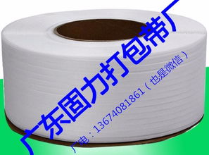 固力打包帶廠 以知識(shí)產(chǎn)權(quán)服務(wù)賦能企業(yè)創(chuàng)新與市場競爭力
