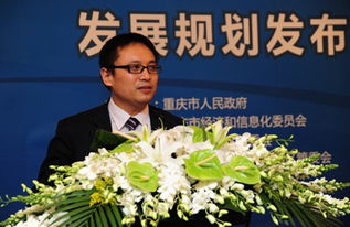 重慶軟件服務(wù)外包業(yè)規(guī)劃布局，劍指行業(yè)三甲寶座